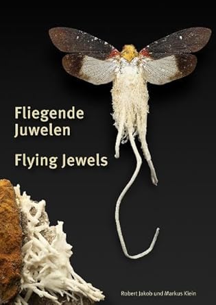 Fliegende Juwelen I